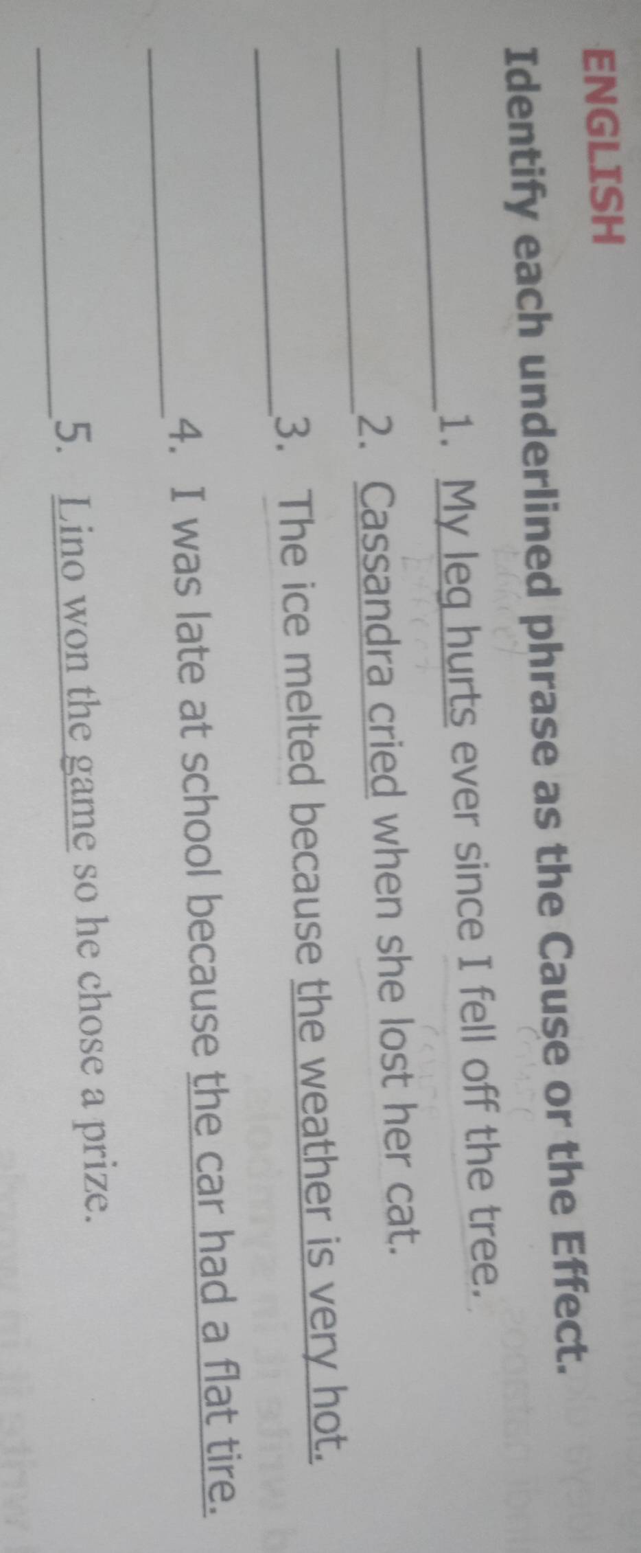 ENGLISH 
Identify each underlined phrase as the Cause or the Effect. 
_ 
1. My leg hurts ever since I fell off the tree. 
_ 
2. Cassandra cried when she lost her cat. 
_ 
3. The ice melted because the weather is very hot. 
_ 
4. I was late at school because the car had a flat tire. 
_ 
5. Lino won the game so he chose a prize.