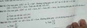 Tính vận lọc của
. Đường vuỡng góc với A C tại A cắt BC ở D. Bà
Bài 12. Cho tam giác ABC có widehat A=135° Tinh các độ dài AD, AC.
DB=15cm, DC=5cm
Bài 13. Cho tam giác ABC có AB=4cm, AC=5cm, BC=6cm các đường phân giáo BD=CE cìn shau ò
b) Tinh các độ dài AE, BE. a) Tính các độ dài AD, DC. I.
Bài 14: Cho △ ABC có AB=3cm, AC=5cm , Đường phân giác AD cất đường trung nuym C0 2
a, Tīnh  K/IM . b, Tinh  CD/CB 