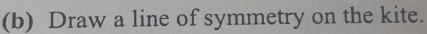 Draw a line of symmetry on the kite.