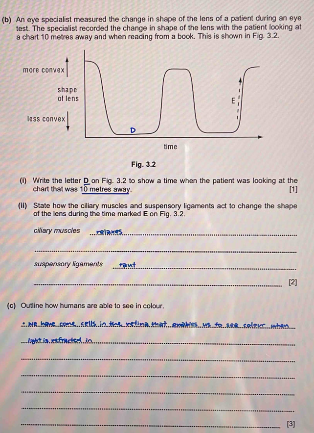 An eye specialist measured the change in shape of the lens of a patient during an eye 
test. The specialist recorded the change in shape of the lens with the patient looking at 
a chart 10 metres away and when reading from a book. This is shown in Fig. 3.2. 
Fig. 3.2 
(i) Write the letter D on Fig. 3.2 to show a time when the patient was looking at the [1] 
chart that was 10 metres away. 
(ii) State how the ciliary muscles and suspensory ligaments act to change the shape 
of the lens during the time marked E on Fig. 3.2. 
ciliary muscles_ 
_ 
suspensory ligaments 
_ 
_[2] 
(c) Outline how humans are able to see in colour. 
_ 
_ 
_ 
_ 
_ 
_ 
_ 
_ 
_[3]