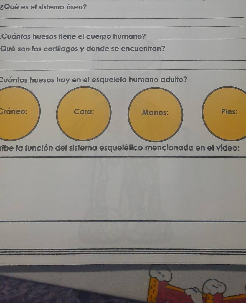 ¿Qué es el sistema óseo? 
_ 
_ 
Cuántos huesos tiene el cuerpo humano?_ 
Qué son los cartílagos y donde se encuentran? 
_ 
__ 
Cuántos huesos hay en el esqueleto humano adulto? 
Cráneo: Cara: Manos: Pies: 
ribe la función del sistema esquelético mencionada en el vídeo: