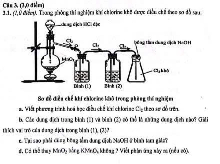 (3,0 điễm)
3.1. (1,0 điểm). Trong phòng thí nghiệm khí chlorine khô được điều chế theo sơ đồ sau:
Sơ đồ điều chế khí chlorine khô trong phòng thí nghiệm
a. Viết phương trình hoá học điều chế khí chlorine Cl_2 theo sơ đồ trên.
b. Các dung dịch trong bình (1) và bình (2) có thể là những dung dịch nào? Giải
thích vai trò của dung dịch trong bình (1), (2)?
c. Tại sao phải dùng bông tầm dung dịch NaOH ở bình tam giác?
d. Có thể thay MnO_2 bằng KMnO4 không ? Viết phản ứng xây ra (nếu có).