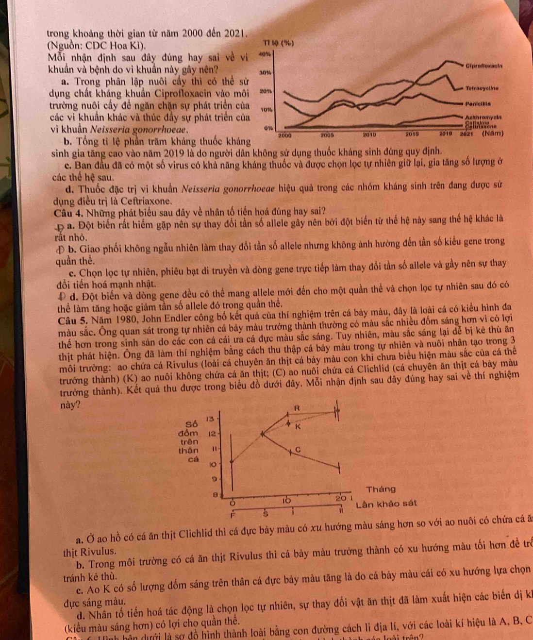 trong khoảng thời gian từ năm 2000 đến 202
(Nguồn: CDC Hoa Kì).
Mỗi nhận định sau đây đúng hay sai về 
khuẩn và bệnh do vi khuần này gây nên?
a. Trọng phân lập nuôi cầy thì có thể 
dụng chất kháng khuẩn Ciprofloxacin vào m
trường nuôi cấy để ngăn chặn sự phát triển c
các vi khuẩn khác và thúc đầy sự phát triển c
vi khuẩn Neisseria gonorrhoeae.
b. Tổng tỉ lệ phần trăm kháng thuốc khá
sinh gia tăng cao vào năm 2019 là do người dân không sử dụng thuốc kháng sinh đúng quy định.
c. Ban đầu đã có một số virus có khả năng kháng thuốc và được chọn lọc tự nhiên giữ lại, gia tăng số lượng ở
các thế hệ sau.
d. Thuốc đặc trị vi khuẩn Neisseria gonorrhoeae hiệu quả trong các nhóm kháng sinh trên đang được sử
dụng điều trị là Ceftriaxone.
Câu 4. Những phát biểu sau đây về nhân tố tiến họá đúng hay sai?
Đ a. Đột biến rất hiểm gặp nên sự thay đổi tần số allele gây nên bởi đột biến từ thế hệ này sang thế hệ khác là
rất nhỏ.
Đ b. Giao phối không ngẫu nhiên làm thay đổi tần số allele nhưng không ảnh hưởng đến tần số kiểu gene trong
quần thể.
c. Chọn lọc tự nhiên, phiêu bạt di truyền và dòng gene trực tiếp làm thay đổi tần số allele và gầy nên sự thay
đổi tiến hoá mạnh nhật.
Đ d. Đột biến và dòng gene đều có thể mang allele mới đến cho một quần thể và chọn lọc tự nhiên sau đó có
thể làm tăng hoặc giảm tần số allele đó trong quần thể.
Câu 5. Năm 1980, John Endler công bố kết quả của thí nghiệm trên cá bảy màu, đây là loài cá có kiểu hình đa
màu sắc. Ông quan sát trong tự nhiên cá bảy màu trưởng thành thường có màu sắc nhiều đốm sáng hơn vì có lợi
thế hơn trong sinh sản do các con cá cái ưa cá đực màu sắc sáng. Tuy nhiên, màu sắc sáng lại dễ bị kê thù ăn
thịt phát hiện. Ông đã làm thí nghiệm bằng cách thu thập cá bảy màu trong tự nhiên và nuôi nhân tạo trong 3
môi trường: ao chứa cá Rivulus (loài cá chuyên ăn thịt cá bảy màu con khi chưa biểu hiện màu sắc của cá thể
trưởng thành) (K) ao nuôi không chứa cá ăn thịt; (C) ao nuôi chứa cá Clichlid (cá chuyên ăn thịt cá bày màu
trưởng thành). Kết quả thu được trong biểu đồ dưới đây. Mỗi nhận định sau đây đúng hay sai về thí nghiệm
này?
a. Ở ao hồ có cá ăn thịt Clichlid thì cá đực bảy màu có xu hướng màu sáng hơn so với ao nuôi có chứa cá ă
thịt Rivulus.
b. Trong môi trường có cá ăn thịt Rivulus thì cá bảy màu trưởng thành có xu hướng màu tối hơn đề trò
tránh kẻ thù.
c. Ao K có số lượng đốm sáng trên thân cá đực bảy màu tăng là do cá bảy màu cái có xu hướng lựa chọn
dực sáng màu.
d. Nhân tố tiến hoá tác động là chọn lọc tự nhiên, sự thay đổi vật ăn thịt đã làm xuất hiện các biến dị kh
(kiểu màu sáng hơn) có lợi chọ quần thể.
Hình hên dưới là sợ đồ hình thành loài bằng con đường cách li địa lí, với các loài kí hiệu là A, B, C
trài trên?