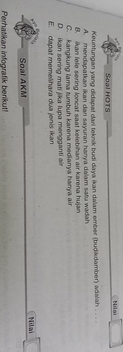 Nilai
Soal HOTS
Keuntungan yang didapat dari teknik budi daya ikan dalam ember (buḍikdamber) adalah . . . .
A. mendapatkan ikan dan sayuran hanya dalam satu wadah
B. ikan lele sering loncat saat kelebihan air karena hujan
C. kangkung lama tumbuh karena medianya hanya air
D. ikan sering mati jika lupa mengganti air
E. dapat memelihara dua jenis ikan
Borla
Nilai
Soal AKM
Perhatikan infografik berikut!