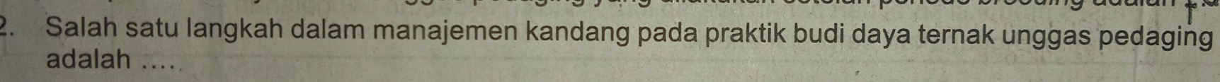 Salah satu langkah dalam manajemen kandang pada praktik budi daya ternak unggas pedaging 
adalah .....