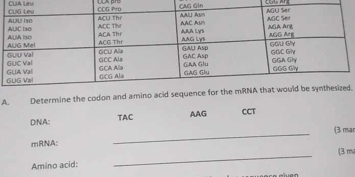 Solved: CUA Leu CCA pro CGG Arg A. Determine the codon and amino a. DNA ...