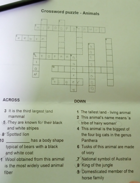 Crosswor 
ACROSS DOWN 
3 It is the third largest land 1 The tallest land - living animal 
mammal 2 This animal's name means 'a 
5 They are known for their black tribe of hairy women' 
and white stripes 4 This animal is the biggest of 
8 Spotted lion the four big cats in the genus 
10 _has a body shape Panthera 
typical of bears with a black 6 Tusks of this animal are made 
and white coat of ivory 
1 Wool obtained from this animal 7 National symbol of Australia 
is the most widely used animal 8 King of the jungle 
fiber 9 Domesticated member of the 
horse family