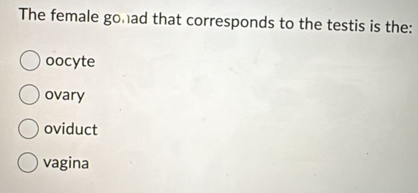 The female gonad that corresponds to the testis is the:
oocyte
ovary
oviduct
vagina