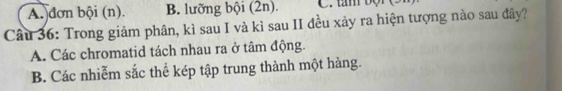 A. đơn bội (n). B. lưỡng bội (2n). C. tam bộn 
Câu 36: Trong giảm phân, kì sau I và kì sau II đều xảy ra hiện tượng nào sau đây?
A. Các chromatid tách nhau ra ở tâm động.
B. Các nhiễm sắc thể kép tập trung thành một hàng.