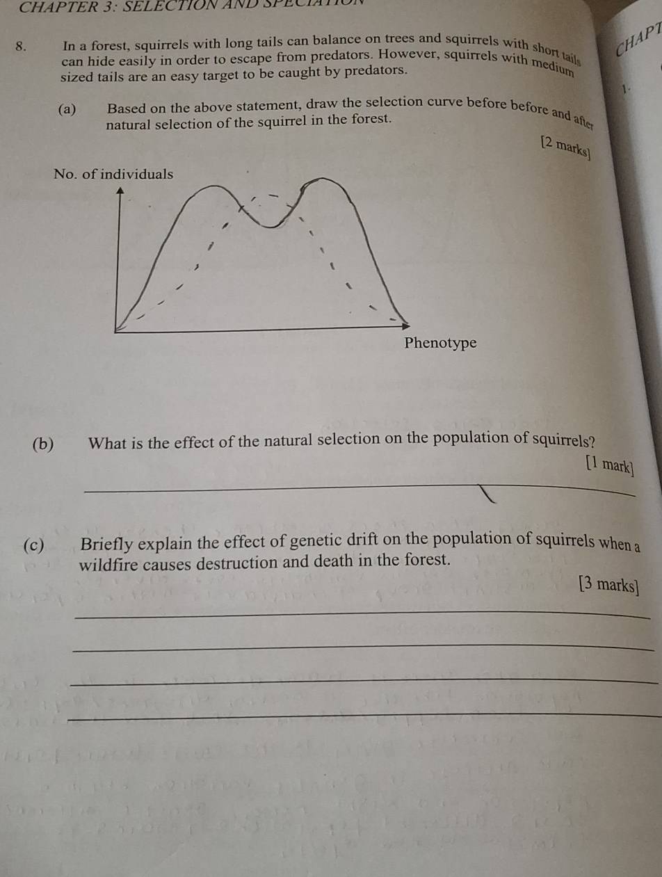 CHAPTER 3: SELECTION AND SPECIATO 
CHAPT 
8. In a forest, squirrels with long tails can balance on trees and squirrels with short tails 
can hide easily in order to escape from predators. However, squirrels with medium 
sized tails are an easy target to be caught by predators. 
(a) Based on the above statement, draw the selection curve before before and after 
natural selection of the squirrel in the forest. 
[2 marks] 
No. of individuals 
(b) What is the effect of the natural selection on the population of squirrels? 
_ 
[1 mark] 
(c) Briefly explain the effect of genetic drift on the population of squirrels when a 
wildfire causes destruction and death in the forest. 
[3 marks] 
_ 
_ 
_ 
_