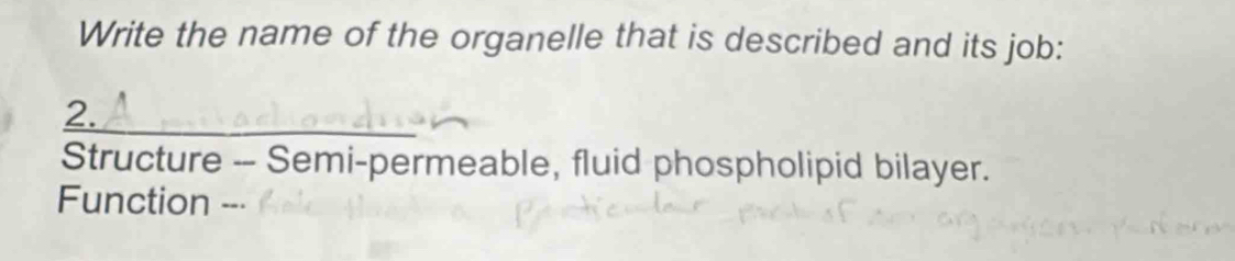 Write the name of the organelle that is described and its job: 
2._ 
Structure -- Semi-permeable, fluid phospholipid bilayer. 
Function ---