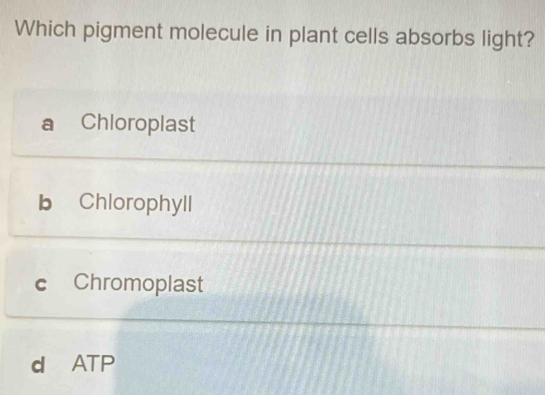 Which pigment molecule in plant cells absorbs light?
a Chloroplast
b Chlorophyll
c Chromoplast
d ATP