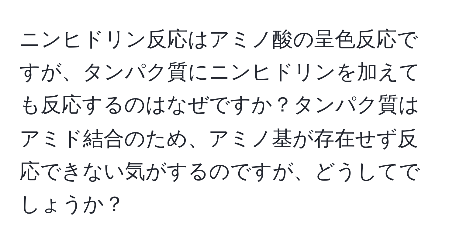 ニンヒドリン反応はアミノ酸の呈色反応ですが、タンパク質にニンヒドリンを加えても反応するのはなぜですか？タンパク質はアミド結合のため、アミノ基が存在せず反応できない気がするのですが、どうしてでしょうか？