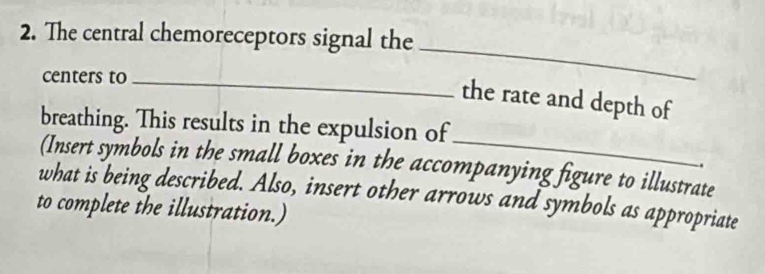 The central chemoreceptors signal the 
centers to_ 
_ 
the rate and depth of 
_ 
breathing. This results in the expulsion of 
(Insert symbols in the small boxes in the accompanying figure to illustrate 
what is being described. Also, insert other arrows and symbols as appropriate 
to complete the illustration.)