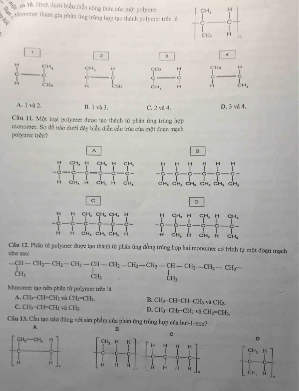 au 10. Hình đưới biểu diễn công thức của một polymer
Monomer tham gia phản ứng trùng hợp tạo thành polymer trên là
t
2
3
4
□ 
□ _ _  5^(th)
H,
H
□ : frac CCH_3= □ /□   c ∈tlimits _(_Hs)^1 □ _ 11 Hendarray 
CH
·113 CH_3 ~
A. 1 và 2. B. 1 và 3. C. 2 và 4. D. 3 và 4.
Câu 11. Một loại polymer được tạo thành từ phản ứng trùng hợp
monomer. Sơ đồ nào dưới đây biểu diễn cấu trúc của một đoạn mạch
polymer trên?
A
B
C
D
Câu 12. Phân tử polymer được tạo thành từ phản ứng đồng trùng hợp hai monomer có trình tự một đoạn mạch
như sau:
frac -CH-CH_2-CH_2-CH_2-CH-CH_2-CH_2-CH_2-CH-CH_2-CH_2-CH_2-CH_2-CH_2-CH_2-CH_2-CH_2-frac CH_3
Monomer tạo nên phân tử polymer trên là
A. CH_3-CH=CH_2 và CH_2=CH_2. B. CH_3-CH=CH-CH_3 và CH_2.
C. CH_3-CH=CH_2 và CH_2. D. CH_3-CH_2-CH_3 và CH_2=CH_3.
Cầu 13. Cầu tạo nào đủng với sản phẩm của phản ứng trùng hợp của but-1-ene?
A
B
C
D
beginbmatrix CH_3&H C&D CH_3&Hendbmatrix