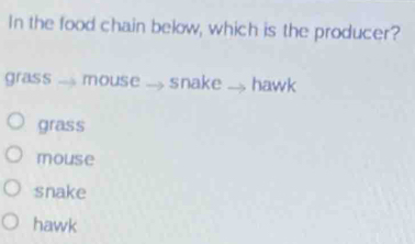 In the food chain below, which is the producer?
grass ... mouse .. snake ... hawk
grass
mouse
snake
hawk