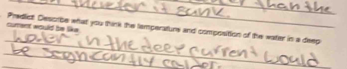 cament would be like 
_ 
Predict Desoibe what you think the temperature and composition of the water in a deep 
_ 
_