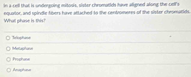 In a cell that is undergoing mitosis, sister chromatids have aligned along the cell's
equator, and spindle fibers have attached to the centromeres of the sister chromatids.
What phase is this?
Telophase
Metaphase
Prophase
Anaphase