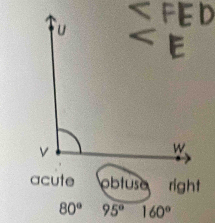 U
<
V
W
acute obtuse right
80° 95° 160°