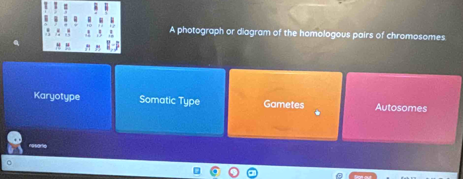 A photograph or diagram of the homologous pairs of chromosomes.
Karyotype Somatic Type Gametes Autosomes
rosario