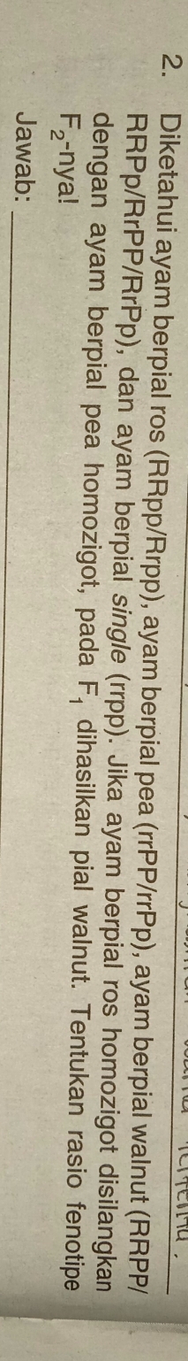 Diketahui ayam berpial ros (RRpp/Rrpp), ayam berpial pea (rrPP/rrPp), ayam berpial walnut (RRPP/ 
RRPp/RrPP/RrPp), dan ayam berpial single (rrpp). Jika ayam berpial ros homozigot disilangkan 
dengan ayam berpial pea homozigot, pada F_1 dihasilkan pial walnut. Tentukan rasio fenotipe
F_2 -nya! 
Jawab:_