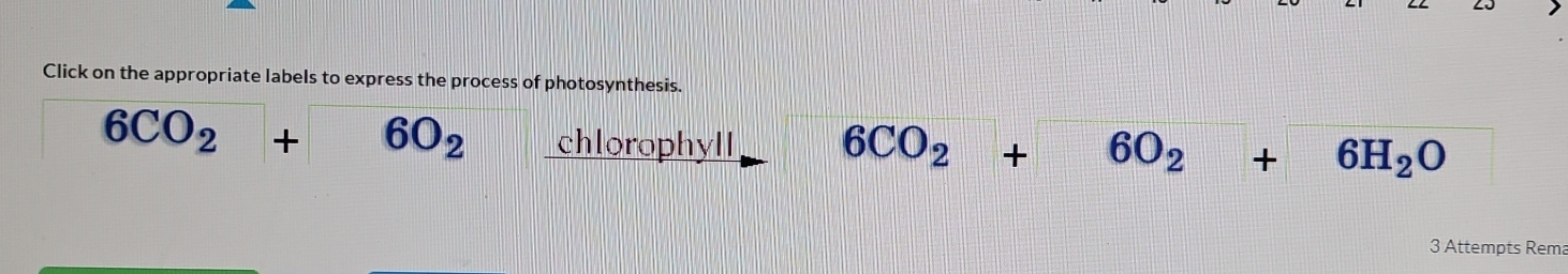 Solved: Click on the appropriate labels to express the process of ...