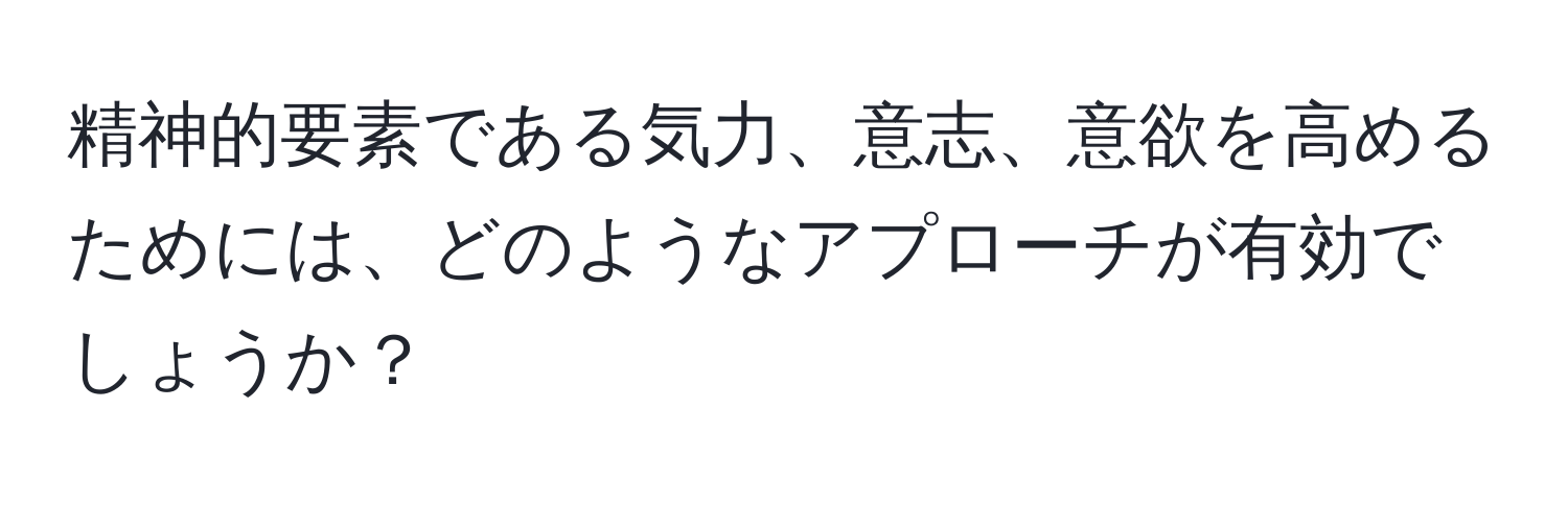 精神的要素である気力、意志、意欲を高めるためには、どのようなアプローチが有効でしょうか？