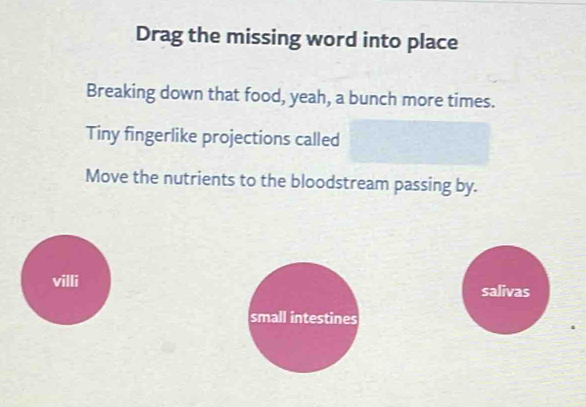 Drag the missing word into place 
Breaking down that food, yeah, a bunch more times. 
Tiny fingerlike projections called 
Move the nutrients to the bloodstream passing by. 
villi salivas 
small intestines