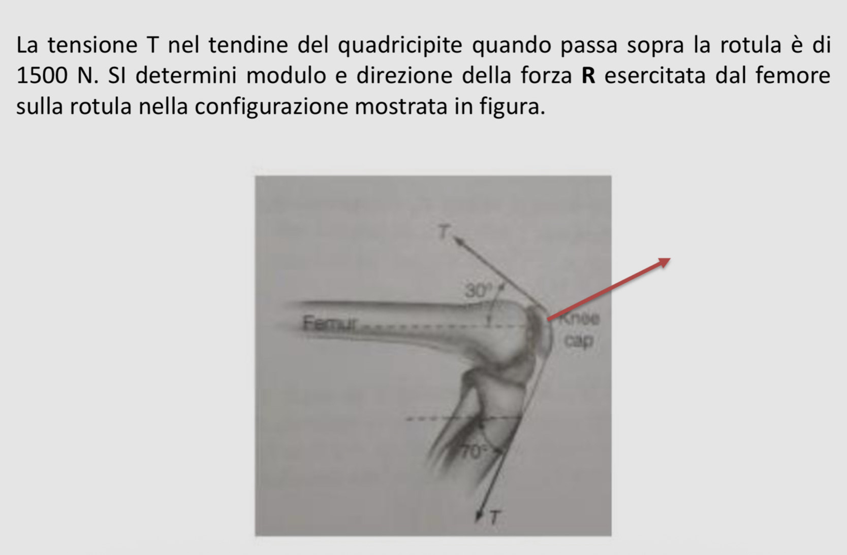 Risolto:La tensione T nel tendine del quadricipite quando passa sopra ...
