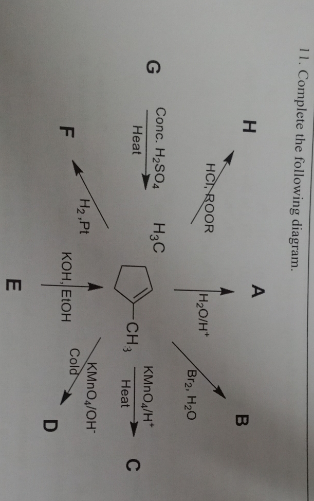 Complete the following diagram.
H
A 
B
HCI, ROOR
H_2O/H^+
Br_2, H_2O
G Conc. H_2SO_4 H_3C
Heat frac KMnO_4/H^+Heat C
CH_3
H_2, Pt
KMnO_4/OH^-
F KOH, EtOH Cold 
D 
E