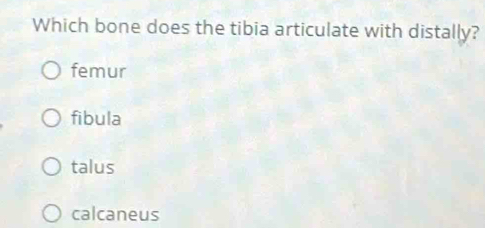 Which bone does the tibia articulate with distally?
femur
fibula
talus
calcaneus