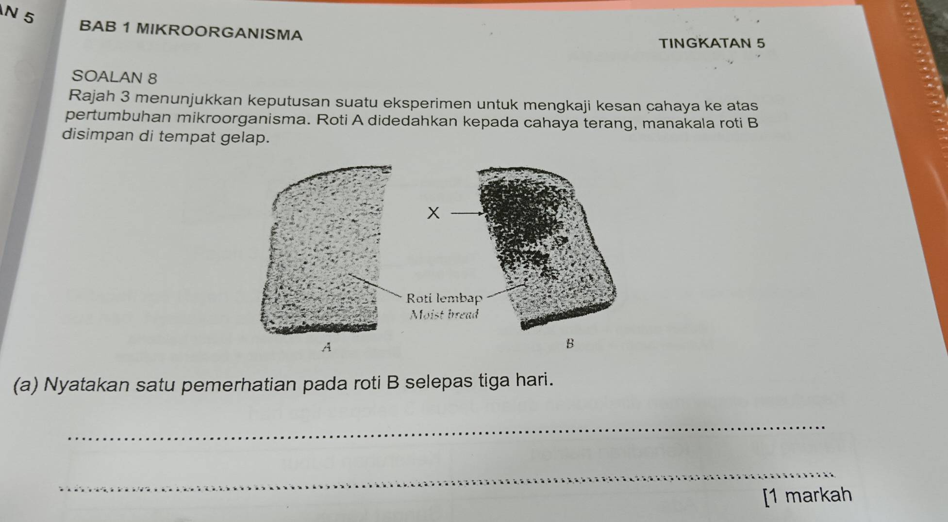 BAB 1 MIKROORGANISMA 
TINGKATAN 5
SOALAN 8 
Rajah 3 menunjukkan keputusan suatu eksperimen untuk mengkaji kesan cahaya ke atas 
pertumbuhan mikroorganisma. Roti A didedahkan kepada cahaya terang, manakala roti B 
disimpan di tempat gelap. 
(a) Nyatakan satu pemerhatian pada roti B selepas tiga hari. 
_ 
_ 
[1 markah