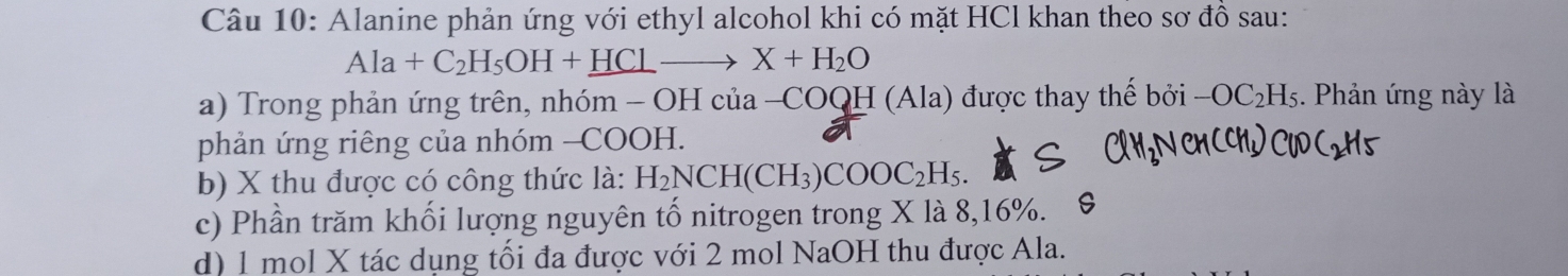 Alanine phản ứng với ethyl alcohol khi có mặt HCl khan theo sơ đồ sau:
Ala+C_2H_5OH+_ HClto X+H_2O
a) Trong phản ứng trên, nhóm - OH của -COQH (Ala) được thay thế bởi -OC_2H_5. Phản ứng này là 
phản ứng riêng của nhóm -COOH. 
b) X thu được có công thức là: H_2NCH(CH_3)COOC_2H_5. 
c) Phần trăm khối lượng nguyên tố nitrogen trong X là 8, 16%. 
d) 1 mol X tác dụng tối đa được với 2 mol NaOH thu được Ala.