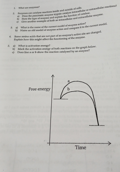 What are enzymes? 
2. Enzymes can catalyse reactions inside and outside of cells. 
a) Does the pancreatic enzyme trypsin catalyse intracellular or extracellular reactions? 
b) State the type of enzyme and explain the function of catalase. 
c) Give another example of both an intracellular and extracellular enzyme. 
3. a) What is the name of the current model of enzyme action? 
b) Name an old model of enzyme action and compare it to the current model. 
4. Some amino acids that are not part of an enzyme's active site are changed. 
Explain how this might affect the functioning of the enzyme. 
5. a) What is activation energy? 
b) Mark the activation energy of both reactions on the graph below. 
c) Does line a or b show the reaction catalysed by an enzyme? 
a 
Free energy b 
Time