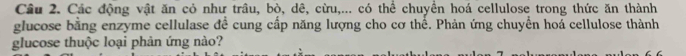 Các động vật ăn cỏ như trâu, bò, dê, cừu,... có thể chuyển hoá cellulose trong thức ăn thành 
glucose bằng enzyme cellulase đề cung cấp năng lượng cho cơ thể. Phản ứng chuyền hoá cellulose thành 
glucose thuộc loại phản ứng nào?