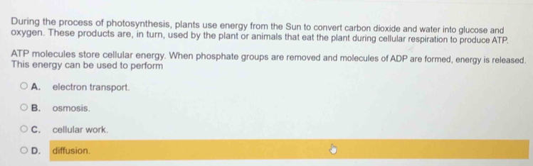 During the process of photosynthesis, plants use energy from the Sun to convert carbon dioxide and water into glucose and
oxygen. These products are, in turn, used by the plant or animals that eat the plant during cellular respiration to produce ATP.
ATP molecules store cellular energy. When phosphate groups are removed and molecules of ADP are formed, energy is released.
This energy can be used to perform
A. electron transport.
B. osmosis
C. cellular work.
D. diffusion.