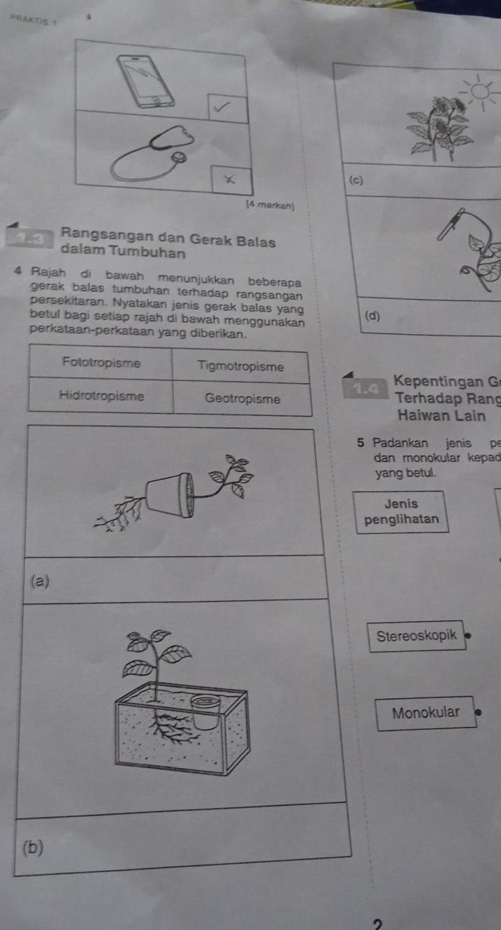 1. 3 Rangsangan dan Gerak Balas 
dalam Tumbuhan 
4 Rajah di bawah menunjukkan beberapa 
gerak balas tumbuhan terhadap rangsangan 
persekitaran. Nyatakan jenis gerak balas yang (d) 
betul bagi setiap rajah di bawah menggunakan 
perkataan-perkataan yang diberikan. 
Fototropisme Tigmotropisme 
1.4 Kpentinan G 
Hidrotropisme Geotropisme Terhadap Rang 
Haiwan Lain 
5 Padankan jenis pe 
dan monokular kepad 
yang betul. 
Jenis 
penglihatan 
(a) 
Stereoskopik 
Monokular 
(b)