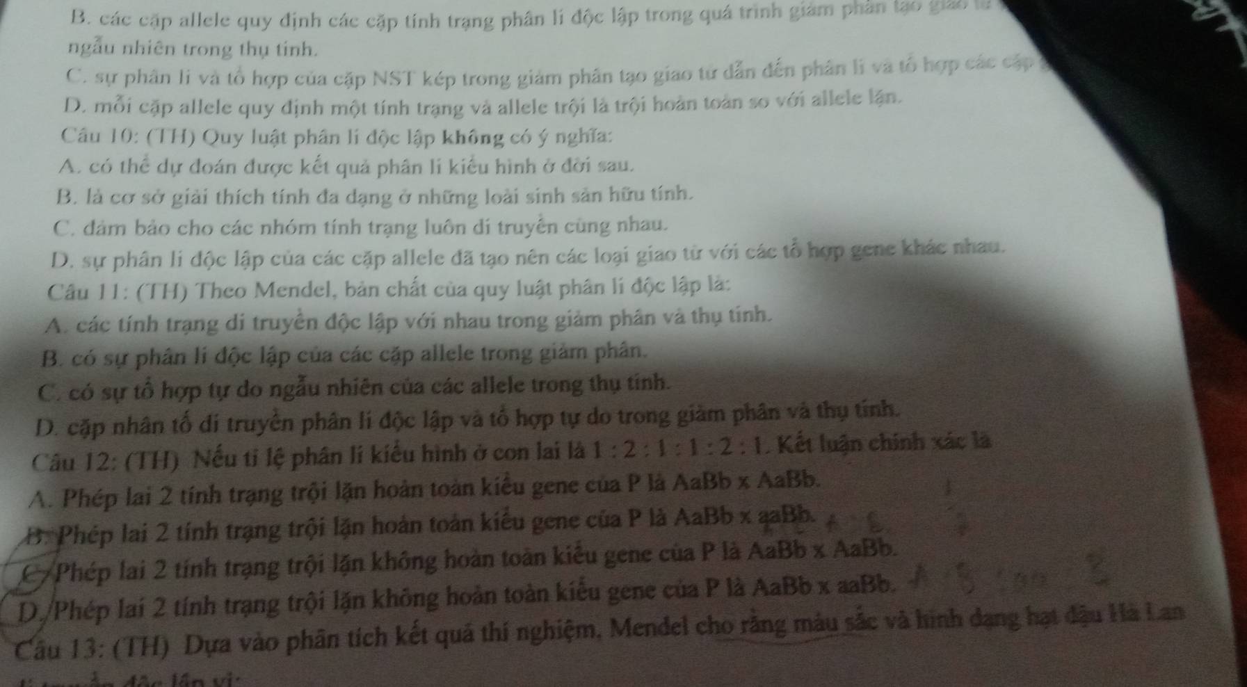 B. các cặp allele quy định các cặp tính trạng phân lí độc lập trong quá trình giám phần tạo giao ư
ngẫu nhiên trong thụ tính.
C. sự phân li và tổ hợp của cặp NST kép trong giảm phân tạo giao tử dẫn đến phân lì và tổ hợp các cấp t
D. mỗi cặp allele quy định một tính trạng và allele trội là trội hoàn toàn so với allele lận.
Câu 10: (TH) Quy luật phân lí độc lập không có ý nghĩa:
A. có thể dự đoán được kết quả phân li kiểu hình ở đời sau.
B. là cơ sở giải thích tính đa dạng ở những loài sinh sản hữu tính.
C. đảm bảo cho các nhóm tính trạng luôn di truyền cùng nhau.
D. sự phân li độc lập của các cặp allele đã tạo nên các loại giao từ với các tổ hợp gene khác nhau.
Câu 11: (TH) Theo Mendel, bản chất của quy luật phân lí độc lập là:
A. các tính trạng di truyền độc lập với nhau trong giảm phân và thụ tính.
B. có sự phân lí độc lập của các cặp allele trong giảm phân.
C. có sự tổ hợp tự do ngẫu nhiên của các allele trong thụ tính.
D. cặp nhân tố di truyền phân lí độc lập và tổ hợp tự do trong giàm phân và thụ tính.
Câu 12: (TH) Nếu tỉ lệ phân lí kiểu hình ở con lai là 1:2:1:1:2 : 1. Kết luận chính xác là
A. Phép lai 2 tính trạng trội lặn hoàn toàn kiểu gene của P là AaBb x AaBb.
B. Phép lai 2 tính trạng trội lặn hoán toàn kiểu gene của P là AaBb x aaBb.
C Phép lai 2 tính trạng trội lặn không hoàn toàn kiểu gene của P là AaBb x AaBb.
D./Phép lai 2 tính trạng trội lặn không hoàn toàn kiểu gene của P là AaBb x aaBb.
Câu 13: (TH) Dựa vào phân tích kết quả thí nghiệm, Mendel cho rằng màu sắc và hình dạng hạt đậu Hà Lan
=  Vần vi