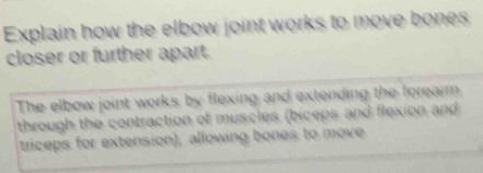 Explain how the elbow joint works to move bones 
closer or further apart. 
The elbow joint works by flexing and extending the forearm 
through the contraction of muscles (biceps and flexion and 
triceps for extension), allowing bones to move