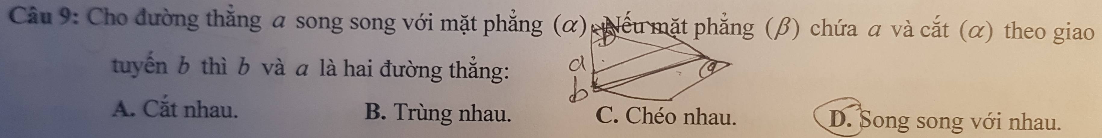 Cầu 9: Cho đường thẳng a song song với mặt phẳng (α) iếu mặt phẳng (β) chứa a và cắt (α) theo giao
tuyến b thì b và a là hai đường thẳng:
A. Cắt nhau. B. Trùng nhau. C. Chéo nhau. D. Song song với nhau.