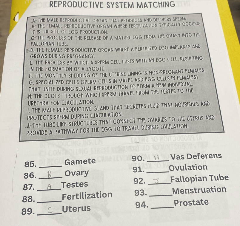 REPRODUCTIVE SYSTEM MATCHING
A. THE MALE REPRODUCTIVE ORGAN THAT PRODUCES AND DELIVERS SPERM.
B. THE FEMALE REPRODUCTIVE ORGAN WHERE FERTILIZATION TYPICALLY OCCURS.
IT IS THE SITE OF EGG PRODUCTION.
C. THE PROCESS OF THE RELEASE OF A MATURE EGG FROM THE OVARY INTO THE
FALLOPIAN TUBE.
D. THE FEMALE REPRODUCTIVE ORGAN WHERE A FERTILIZED EGG IMPLANTS AND
GROWS DURING PREGNANCY.
E. THE PROCESS BY WHICH A SPERM CELL FUSES WITH AN EGG CELL, RESULTING
IN THE FORMATION OF A ZYGOTE.
F. THE MONTHLY SHEDDING OF THE UTERINE LINING IN NON-PREGNANT FEMALES,
G. SPECIALIZED CELLS (SPERM CELLS IN MALES AND EGG CELLS IN FEMALES)
THAT UNITE DURING SEXUAL REPRODUCTION TO FORM A NEW INDIVIDUAL.
H. THE DUCTS THROUGH WHICH SPERM TRAVEL FROM THE TESTES TO THE
URETHRA FOR EJACULATION.
I. THE MALE REPRODUCTIVE GLAND THAT SECRETES FLUID THAT NOURISHES AND
PROTECTS SPERM DURING EJACULATION.
J. THE TUBE-LIKE STRUCTURES THAT CONNECT THE OVARIES TO THE UTERUS AND
PROVIDE A PATHWAY FOR THE EGG TO TRAVEL DURING OVULATION.
85. Gamete 90. _Vas Deferens
91.
86. _Ovary _Ovulation
87. _Testes 92. _Fallopian Tube
88. __Fertilization 93. _Menstruation
94. _Prostate
89. _Uterus