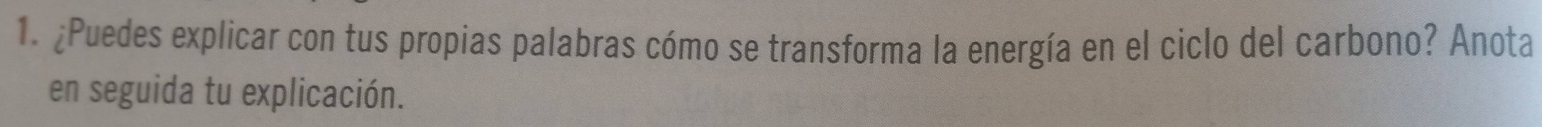 ¿Puedes explicar con tus propias palabras cómo se transforma la energía en el ciclo del carbono? Anota 
en seguida tu explicación.