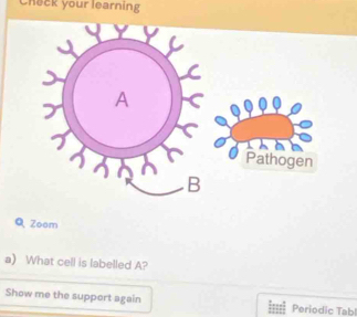 Check your learning 
Q Zeem 
a) What cell is labelled A? 
Show me the suppert again Periodic Tab!