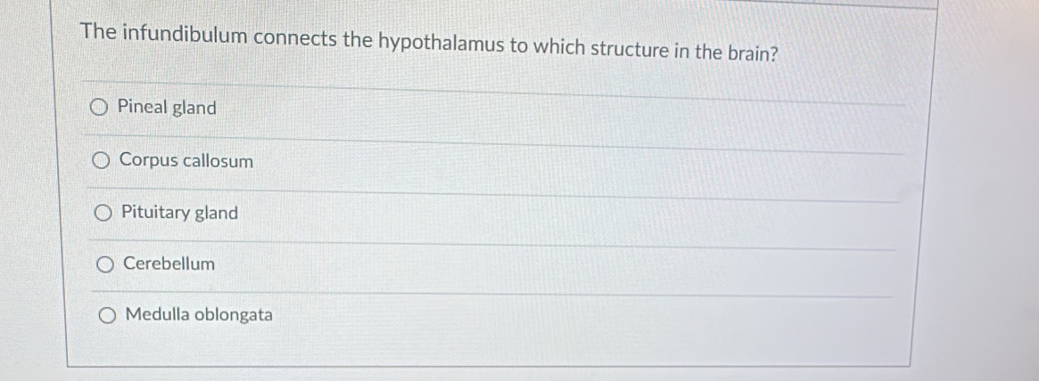 The infundibulum connects the hypothalamus to which structure in the brain?
Pineal gland
Corpus callosum
Pituitary gland
Cerebellum
Medulla oblongata