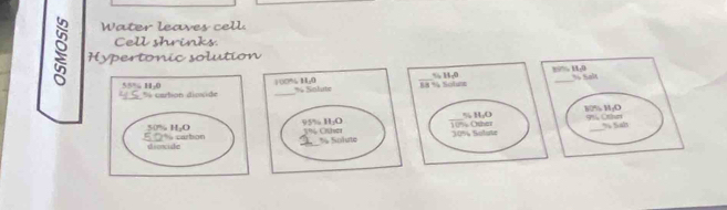 Water leaves cell
Cell shrinks.
Hypertonic solution
% Sotun % 1,0 “% 11,0 % Salt
1074 Osher % H,O 80% HgO 91 Ottun
30% Solute % Sah