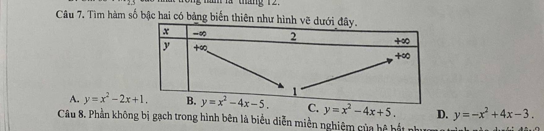 năm là tháng 12.
Câu 7. Tìm hàm số bậc hai có bảng biến thiên nh
A. y=x^2-2x+1.
C. y=x^2-4x+5.
D. y=-x^2+4x-3.
Câu 8. Phần không bị gạch trong hình bên là biểu diễn miền nghiệm của hệ bất phưc