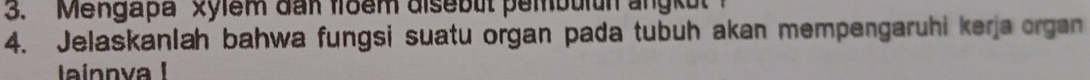 Mengapa xylem đan floem disebut pembulun angkut 
4. Jelaskanlah bahwa fungsi suatu organ pada tubuh akan mempengaruhi kerja organ 
inn va I