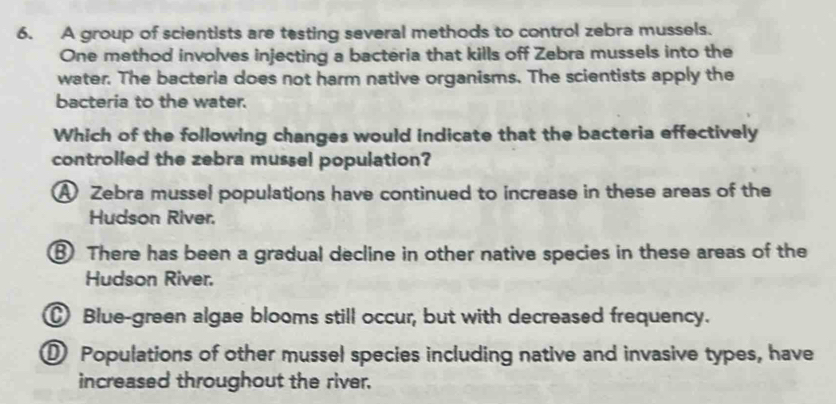 A group of scientists are testing several methods to control zebra mussels.
One method involves injecting a bacteria that kills off Zebra mussels into the
water. The bacteria does not harm native organisms. The scientists apply the
bacteria to the water.
Which of the following changes would indicate that the bacteria effectively
controlled the zebra mussel population?
A Zebra mussel populations have continued to increase in these areas of the
Hudson River.
⑧ There has been a gradual decline in other native species in these areas of the
Hudson River.
Blue-green algae blooms still occur, but with decreased frequency.
① Populations of other mussel species including native and invasive types, have
increased throughout the river.