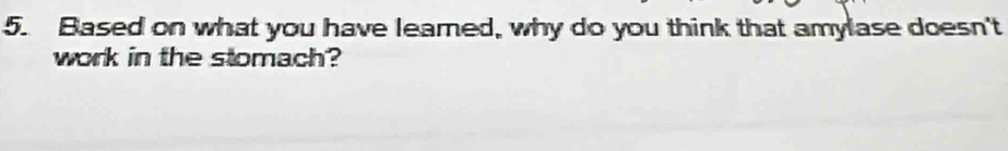 Based on what you have leamed, why do you think that amylase doesn't 
work in the stomach?