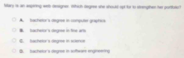 Mary is an aspiring web designer. Which degree she should opt for to strengthen her portfolio?
A. bachelor's degree in computer graphics
B. bachelor's degree in fine arts
C. bachelor's degree in science
D. bachelor's degree in software engineering